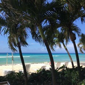 Meet your Posher, Lorilori